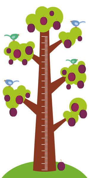 Big tree with green leaves birds and ripe purple plums on white background Children height meter wall sticker, kids measure. Vector illustration