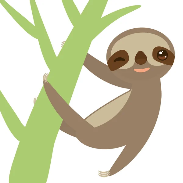 Lucu Dan Lucu Tersenyum Sloth Berjari Kaki Tiga Pada Cabang - Stok Vektor