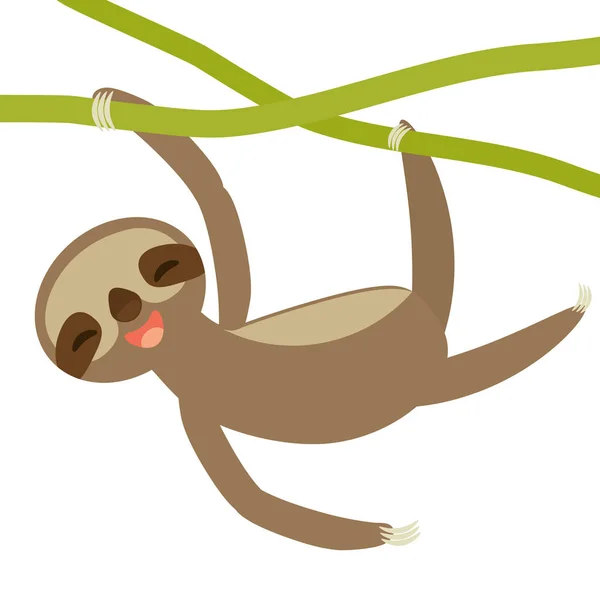 Funny Cute Smiling Three Toed Sloth Green Branch Isolated White — Stock Vector