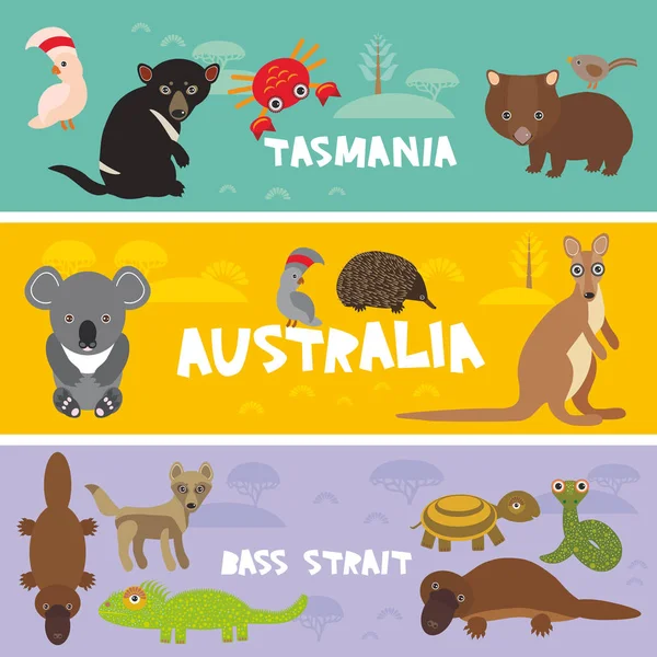 Ensemble Animaux Mignons Echidna Koala Platypus Tasmanie Diable Cockatoo Perroquet — Image vectorielle