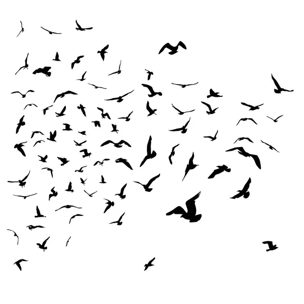 Gaviotas Silueta Negra Sobre Fondo Blanco Aislado Ilustración Vectorial — Vector de stock