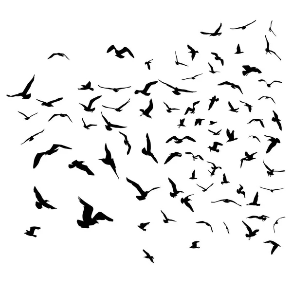 Gaviotas Silueta Negra Sobre Fondo Blanco Aislado Ilustración Vectorial — Vector de stock