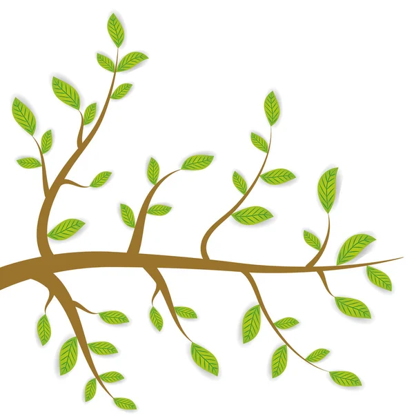 Spring Brown Branches Green Leaves White Background Vector Illustration — Stock Vector