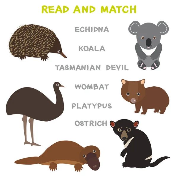 Kinder Wörter Lernspiel Arbeitsblatt Lesen Und Übereinstimmen Lustige Tiere Strauß — Stockvektor