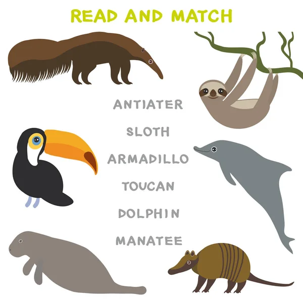 Słowa Dla Dzieci Nauka Gry Arkusz Czytać Mecz Śmieszne Zwierzęta — Wektor stockowy