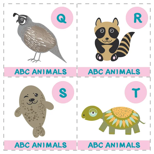 子供のための Abc アルファベット 面白いカメ アライグマ オットセイ ウズラ漫画の動物キャラクターのセットです ゲームのためのカード 白い背景で隔離の動物園 読むことを学ぶ — ストックベクタ