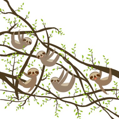 card banner template with funny and cute smiling Three-toed sloth set on green branch tree creeper, copy space isolated white background. Vector illustration clipart