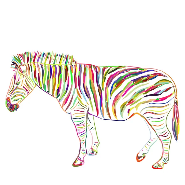 Rainbow Zebra Portrait Sketch Isolated White Background Vector Illustration — Stock Vector