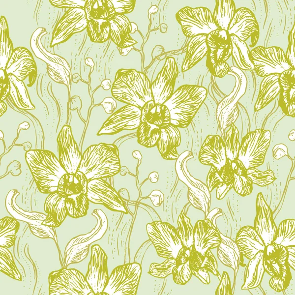 Прекрасная Орхидея Ручной Рисунок Набор Светло Голубом Фоне Оливкового Зеленого — стоковый вектор
