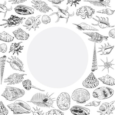 Deniz kabukları nadir tehlike altındaki türler, yumuşakçalar siyah kontur beyaz arka plan üzerinde benzersiz Müzesi koleksiyonu ile yaz konsepti. Daire çelenk kartı banner tasarımı metin için yer ile. Vektör çizim