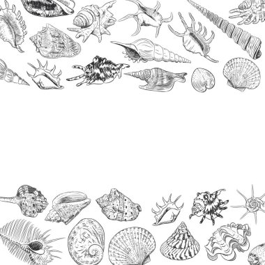 Deniz kabukları nadir tehlike altındaki türler, yumuşakçalar siyah kontur beyaz arka plan üzerinde benzersiz Müzesi koleksiyonu ile yaz konsepti. kart banner tasarımı metin için yer ile. Vektör çizim