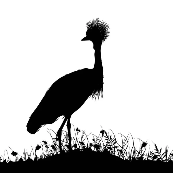 Grey Crowned Crane Black Crowned Crane Stands Land Grass Flowers — Stock Vector