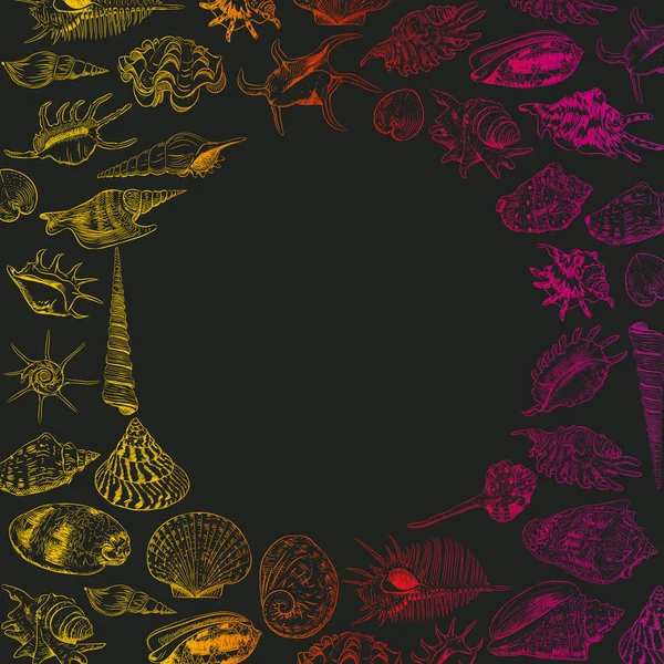 Summer Concept Unique Museum Collection Sea Shells Rare Endangered Species — Stock Vector