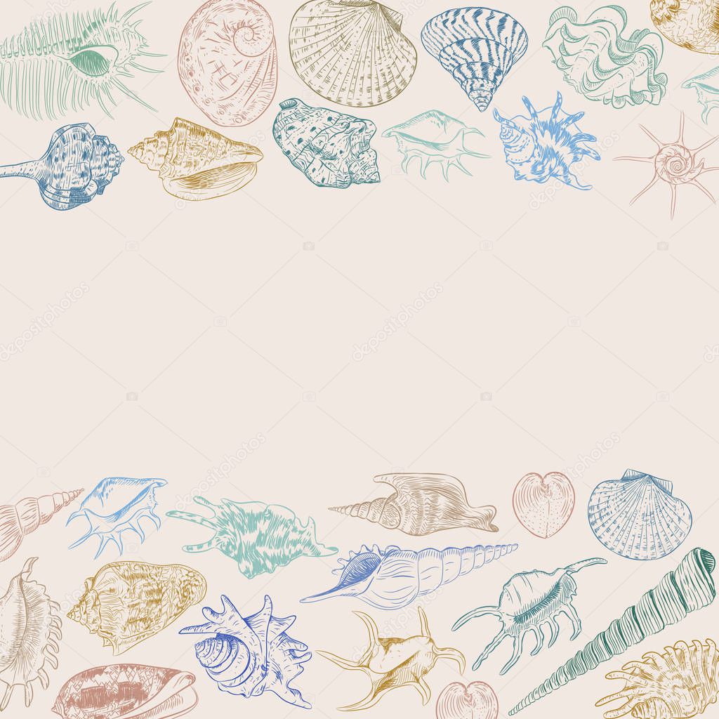 composition Summer concept with Unique museum collection of sea shells rare endangered species, molluscs Khaki blue green brown contour on beige background. card banner design. Vector illustration