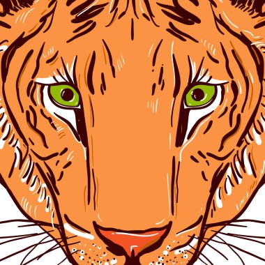 Kaplan kroki çizim kafa. Siyah beyaz bir arka plan üzerinde dağılımı. Vektör çizim