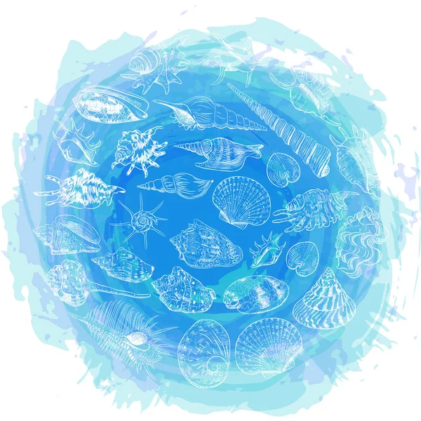 海のトレンディな組成ラウンド印刷のシンボルです 夏の海の貝 青の抽象的な背景の軟体動物 サークル テキストは 白い背景で隔離のためのスペースとカード バナー デザインを花輪 ベクトル図 — ストックベクタ