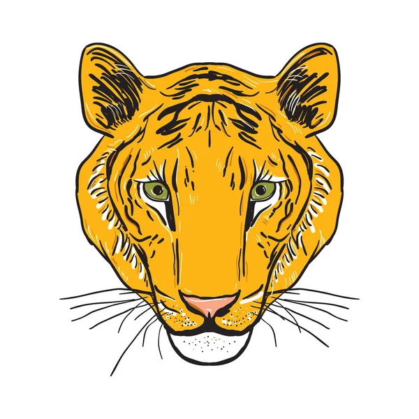 Tygrys Głowa Sketch Drawing Czarny Kontur Białym Tle Ilustracja Wektorowa — Wektor stockowy