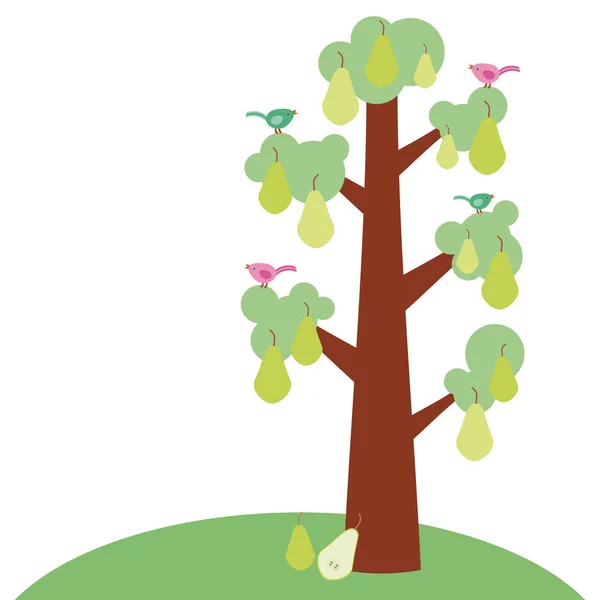 緑色の洋ナシに太い幹 緑の葉と熟した果実 枝に家禽の大木 緑の草 白い背景上に分離 ベクトル図 — ストックベクタ