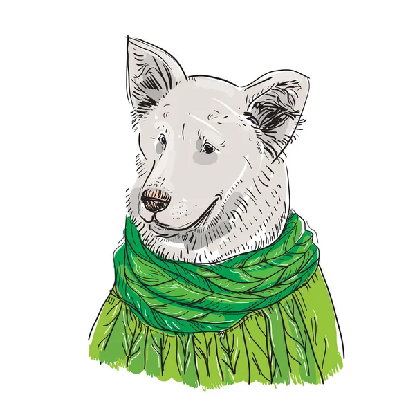 Weißer Hund Strickpullover Und Grünem Schal Schäfer Skizzenzeichnung Schwarze Kontur — Stockvektor