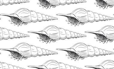 seamless modeli Turrid Vetigastropoda deniz salyangozları benzersiz kabukları, yumuşakçalar büyük taksonomik grubudur. Beyaz arka planda siyah kontur kroki. Vektör çizim