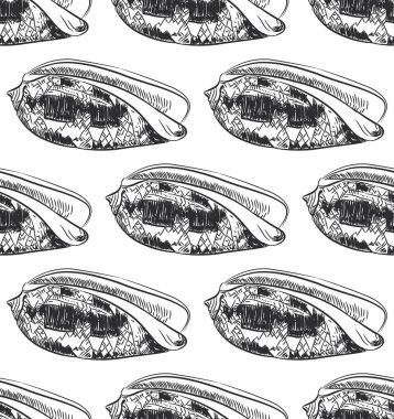 Dikişsiz desen Volutidae, ortak adı volüt, yırtıcı deniz salyangozları benzersiz kabukları, yumuşakçalar taksonomik bir aile vardır. Beyaz arka planda siyah kontur kroki. Vektör çizim