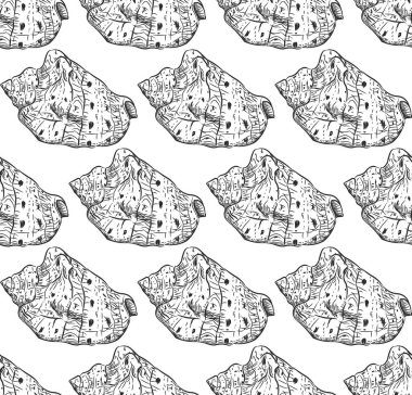 seamless modeli deniz kabukları Cypraecassis cinsidir orta ölçekli büyük deniz salyangoz, deniz gastropod yumuşakçalar Cassidae ailesindeki için. Beyaz arka planda siyah kontur kroki. Vektör çizim