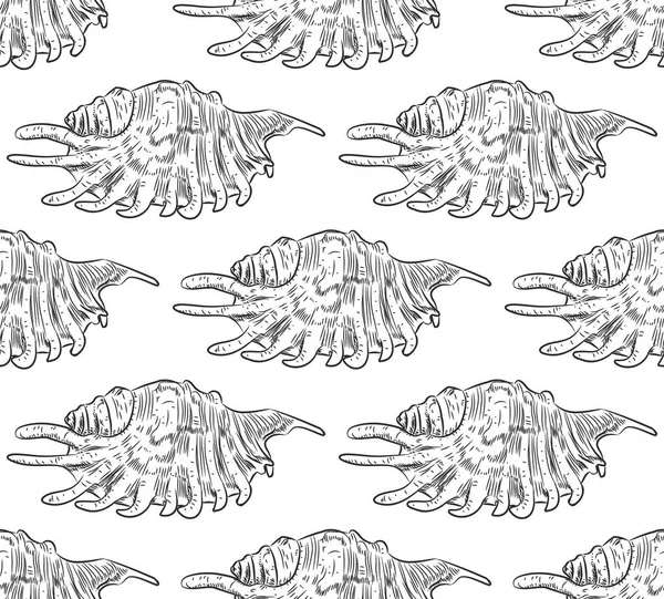 Lambis Est Une Espèce Mollusque Gastéropode Famille Des Strombidae Croquis — Image vectorielle