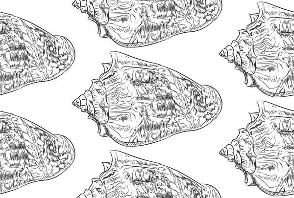 Volutidae Est Une Famille Taxonomique Escargots Mer Prédateurs Croquis Contour — Image vectorielle