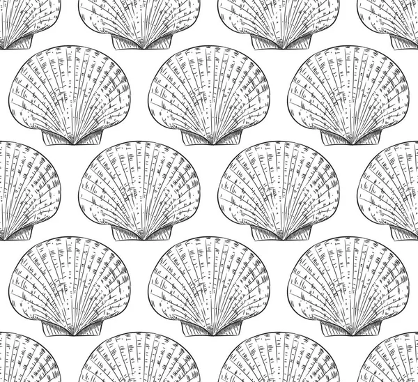 Pétoncle Est Mollusque Bivalve Marin Famille Des Pectinidae Escargots Mer — Image vectorielle