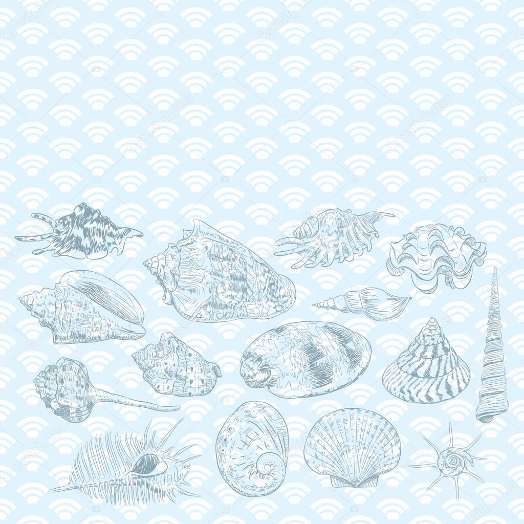 Summer concept with Unique museum collection of sea shells rare endangered species, molluscs black contour on blue background. card banner design with space for text. Vector illustration