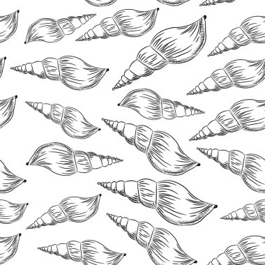 Turrid, çoğul turridler, yırtıcı deniz salyangozları, Turridae familyasında deniz gastropod yumuşakçaları. Çizim siyah kontur beyaz arka plan üzerinde izole. Kumaşlar, duvar kağıtları için kullanılabilir. Vektör