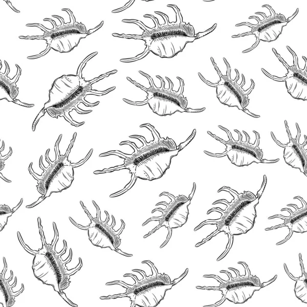 Patrón sin costura Lambis Escorpión caracol Chicoreus aculeatus, caracol de mar grande Conchas únicas, moluscos Gastropoda. Boceto contorno negro sobre fondo blanco. Vector — Archivo Imágenes Vectoriales