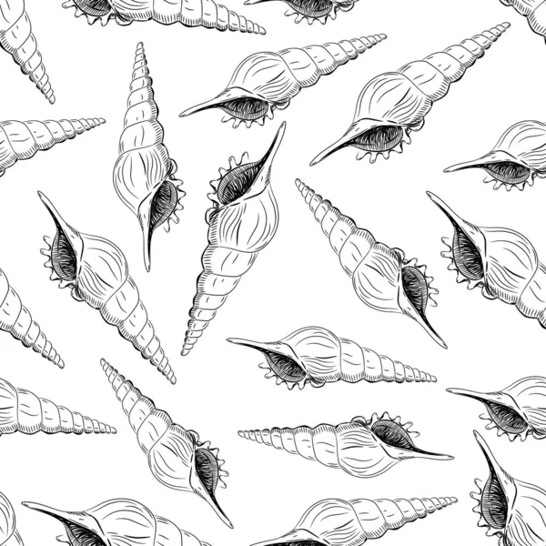 Patrón sin costura Turrid Vetigastropoda es un importante grupo taxonómico de caracoles marinos Conchas únicas, moluscos. Boceto contorno negro sobre fondo blanco. Vector — Archivo Imágenes Vectoriales