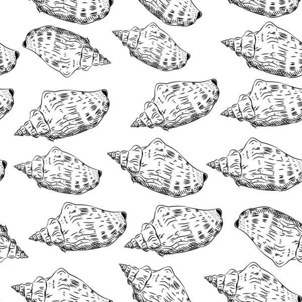 Patrón inconsútil Volutidae, nombre común volutes, son una familia taxonómica de caracoles marinos depredadores Conchas únicas, moluscos. Boceto contorno negro sobre fondo blanco. Vector — Vector de stock