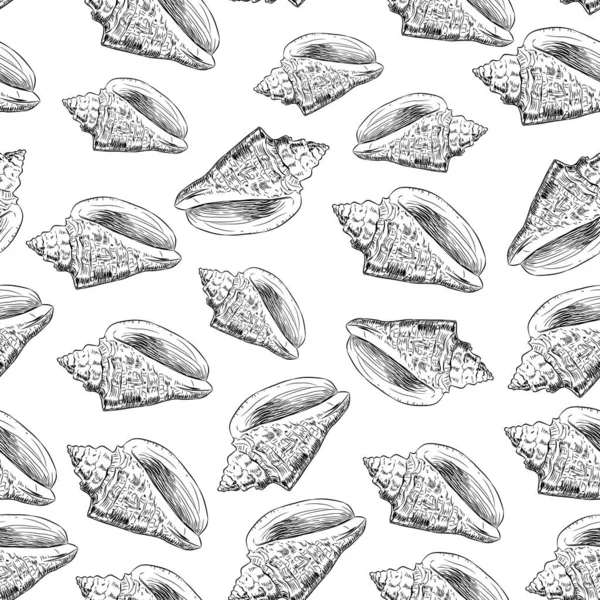 Volutidae, yaygın adı volutes, yırtıcı deniz salyangoz taksonomik bir aile. Çizim siyah kontur beyaz arka plan üzerinde izole. Kumaşlar, duvar kağıtları için kullanılabilir. Vektör