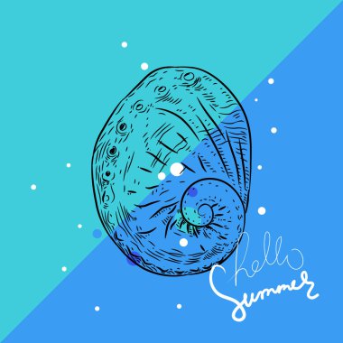 Merhaba yaz kartı afiş. Vetigastropoda deniz salyangozu. Eşsiz kabuklar, yumuşakçalar. Mavi arka plan üzerinde eskiz siyah kontur. Vektör