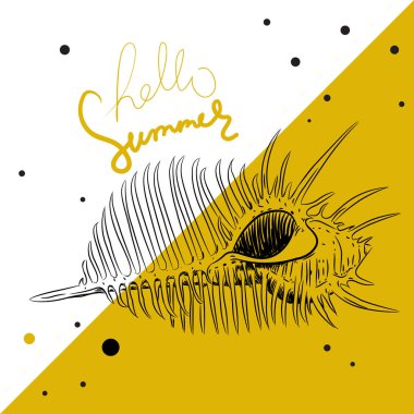 Merhaba yaz kartı afiş. deniz kabukları Venüs tarak Murex pecten, deniz salyangoz kabuğu, beyaz hardal arka plan üzerinde aile Muricidae Sketch siyah kontur deniz gastropod yumuşakça. Vektör