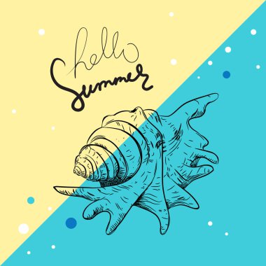 Merhaba yaz kartı afiş. Lambis örümcek conch Chicoreus aculeatus, büyük deniz salyangozu Benzersiz kabukları, yumuşakçalar Gastropoda. Mavi bej arka plan üzerinde kroki siyah kontur. Vektör