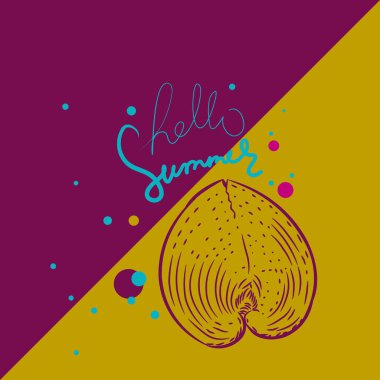 Merhaba yaz kartı afiş. Benzersiz kabukları, Cardiidae bivalve yumuşakçalar Gastropoda Corculum cardissa veya kalp cockle. Claret bordo ocher bej arka plan üzerinde Kroki kontur. Vektör