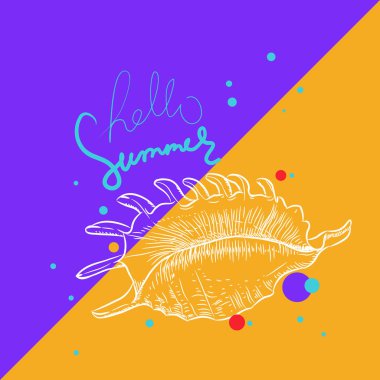 Merhaba yaz kartı afiş. Lambis örümcek conch, büyük deniz salyangozu, aile Strombidae bir deniz gastropod yumuşakça, conchs. Turuncu mor arka plan üzerinde Kroki beyaz kontur. Vektör