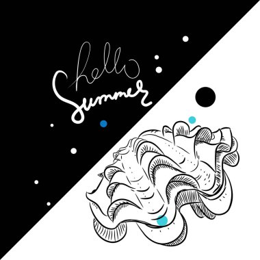 Merhaba yaz kartı afiş. tridacna squamosa, bivalves pelecypods olarak da bilinen yumuşakçalar büyük bir sınıftır. Mavi beyaz arka plan üzerinde kroki siyah kontur. Vektör