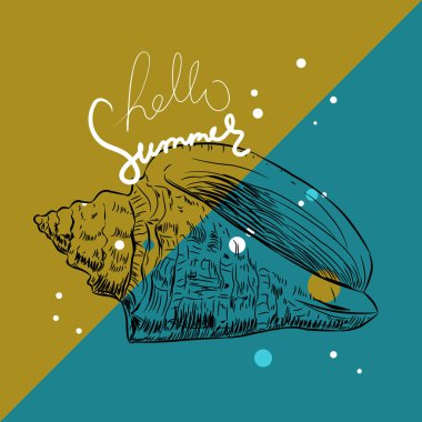 Merhaba yaz kartı afiş. Volutidae, yaygın adı volutes, yırtıcı deniz salyangoz taksonomik bir aile. Teal mavi ocher bej arka plan sketch kontur. Vektör