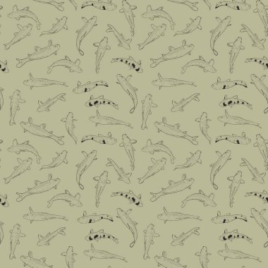 Dikişsiz desen Koi sazan nishikigoi kelimenin tam anlamıyla sazan brocaded. Açık koi havuzları su bahçeleri tutulur ortak sazan. bej gri arka plan çizim doodle üzerinde siyah anahat. Vektör