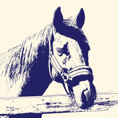 at portresi, baş dizgin, bej arka plan üzerinde snaffle kafa bandı mavi renk. kroki, anahat, taslak çizim, Tasarım ve dövme için Resim. Vektör