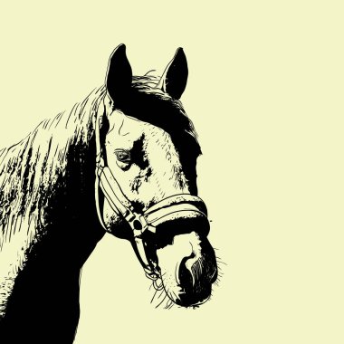 at portresi, baş dizgin, bej arka plan üzerinde snaffle kafa bandı izole kahverengi renk. kroki, anahat, taslak çizim, Tasarım ve dövme için Resim. Vektör