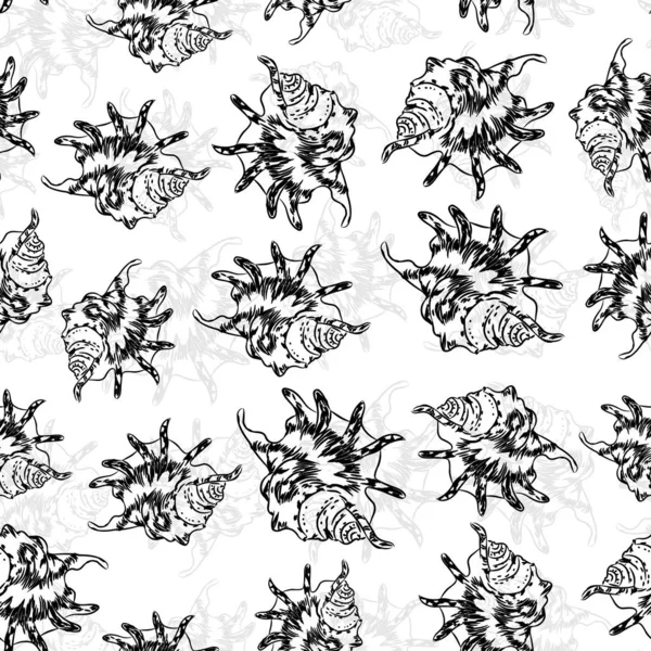 Patrón sin costura Lambis spider conch Chicoreus aculeatus, caracol de mar grande Conchas únicas, moluscos Gastropoda. Boceto contorno negro sobre fondo blanco. Vector — Vector de stock