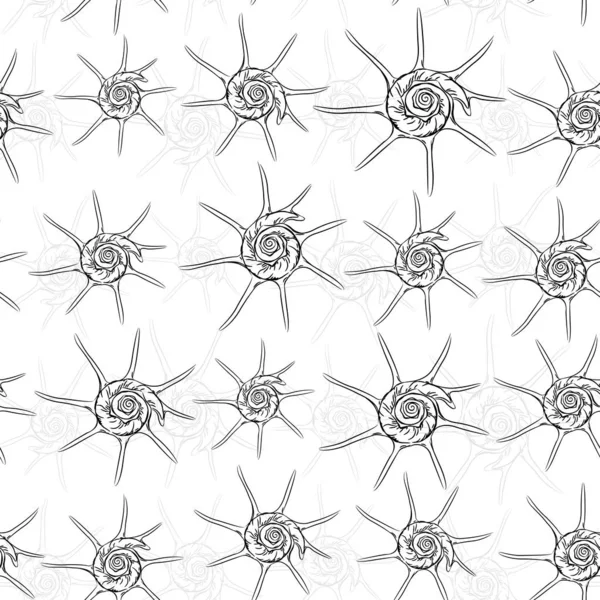 Seamless pattern Unique star sea shells Harpago es un género de moluscos gasterópodos marinos de la familia Strombidae. Boceto contorno negro sobre fondo blanco. Vector — Vector de stock