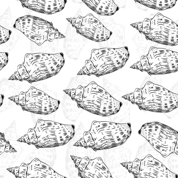 Volutidae, yaygın adı volutes, yırtıcı deniz salyangoz taksonomik bir aile. Çizim siyah kontur beyaz arka plan üzerinde izole. Kumaşlar, duvar kağıtları için kullanılabilir. Vektör