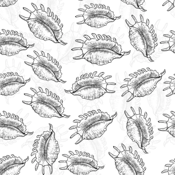 Concha de araña de cordero, caracol de mar grande, un molusco gasterópodo marino de la familia Strombidae, conchas. Conchas únicas, moluscos. Boceto contorno negro sobre fondo blanco. Vector — Vector de stock