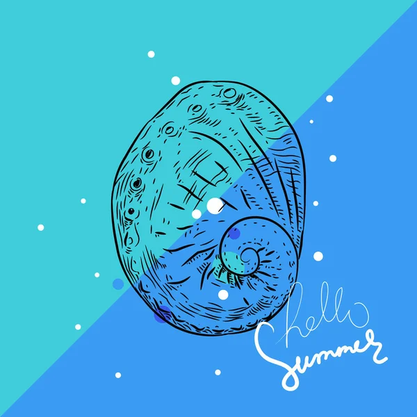 Merhaba yaz kartı afiş. Vetigastropoda deniz salyangozu. Eşsiz kabuklar, yumuşakçalar. Mavi arka plan üzerinde eskiz siyah kontur. Vektör